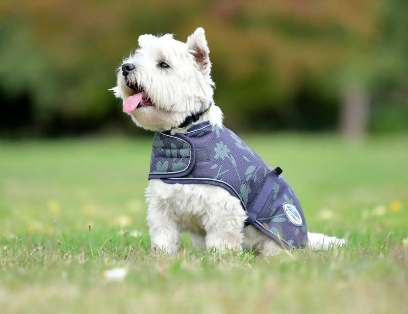 WeatherBeeta Clearance WeatherBeeta ComFiTec Premier Free Parka Dog Coat Medium WeatherBeeta ComFiTec Premier Free Parka Dog Coat Medium