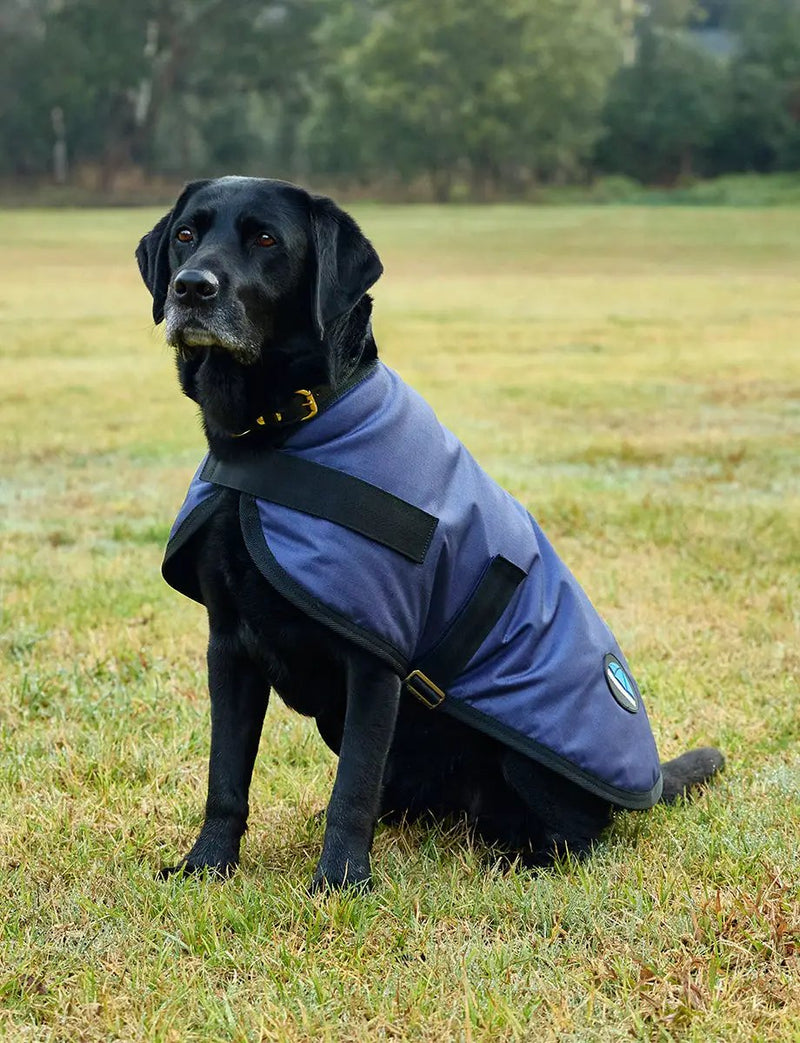 WeatherBeeta Outdoor coats WeatherBeeta ComFiTec Classic Waterproof Dog Coat WeatherBeeta ComFiTec Classic Waterproof Dog Coat