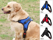 Dog Harness Set Pet Adjustable Chest Strap Walking Collar Vest – view 1