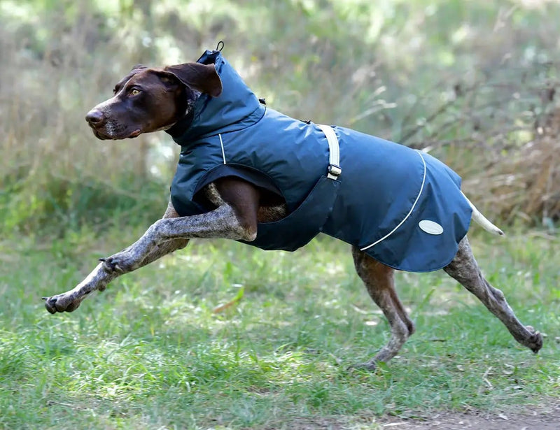WeatherBeeta Clearance WeatherBeeta Explorer Medium Dog Coat WeatherBeeta Explorer Medium Dog Coat