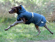 WeatherBeeta Clearance WeatherBeeta Explorer Medium Dog Coat WeatherBeeta Explorer Medium Dog Coat