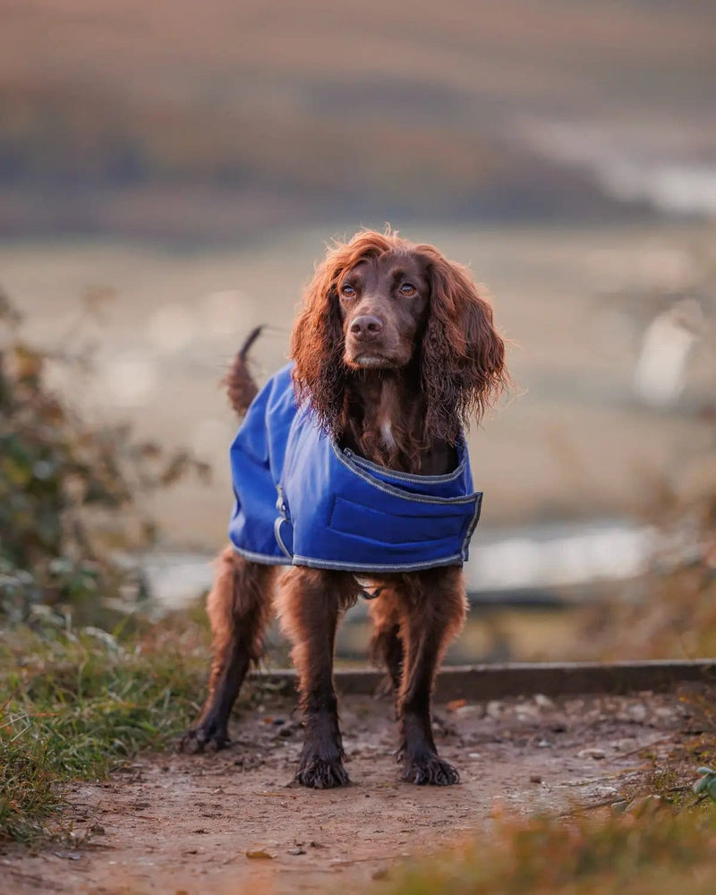 WeatherBeeta Outdoor coats WeatherBeeta ComFiTec Windbreaker Free Dog Coat WeatherBeeta ComFiTec Windbreaker Free Dog Coat