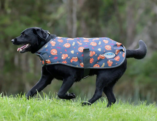 WeatherBeeta Clearance WeatherBeeta ComFiTec Premier Free Parka Dog Coat Medium WeatherBeeta ComFiTec Premier Free Parka Dog Coat Medium
