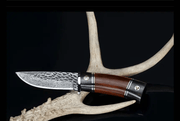 Damascus Steel Tactical Knife — Sandalwood Handle | Fixed Blade Outdoor & Survival – view 2