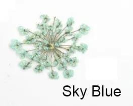Real Dried Flower - Lace Flower, Snow Bead Flower – view 2