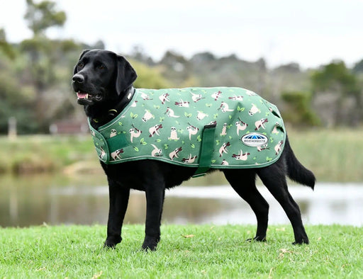 WeatherBeeta Clearance WeatherBeeta ComFiTec Premier Free Parka Dog Coat Medium WeatherBeeta ComFiTec Premier Free Parka Dog Coat Medium