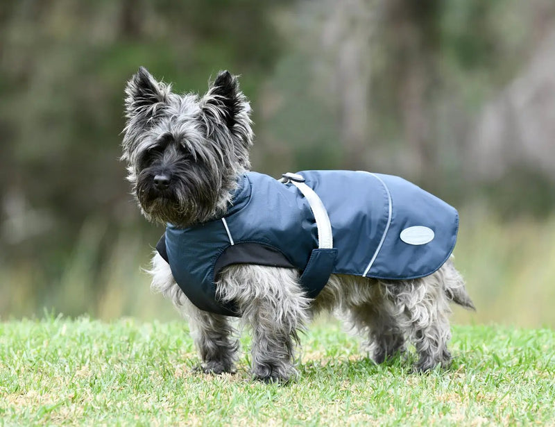 WeatherBeeta Clearance WeatherBeeta Explorer Medium Dog Coat WeatherBeeta Explorer Medium Dog Coat