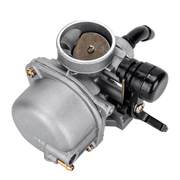 Carburetor PZ19 with Fuel Filter and 35mm Air Filter – view 4