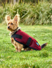 WeatherBeeta Outdoor coats WeatherBeeta ComFiTec Classic Waterproof Dog Coat WeatherBeeta ComFiTec Classic Waterproof Dog Coat