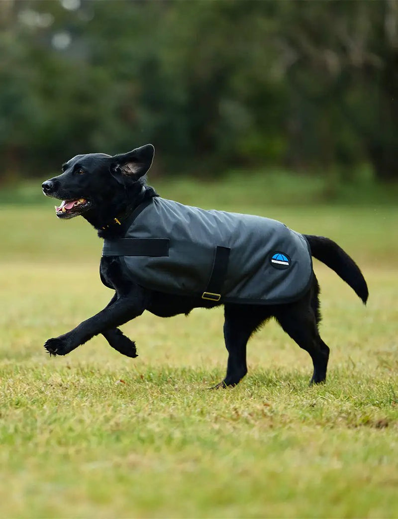WeatherBeeta Outdoor coats WeatherBeeta ComFiTec Classic Waterproof Dog Coat WeatherBeeta ComFiTec Classic Waterproof Dog Coat