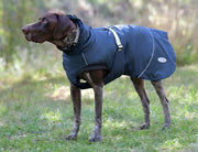 WeatherBeeta Clearance WeatherBeeta Explorer Medium Dog Coat WeatherBeeta Explorer Medium Dog Coat