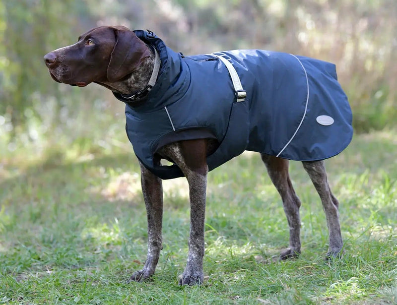 WeatherBeeta Clearance WeatherBeeta Explorer Medium Dog Coat WeatherBeeta Explorer Medium Dog Coat