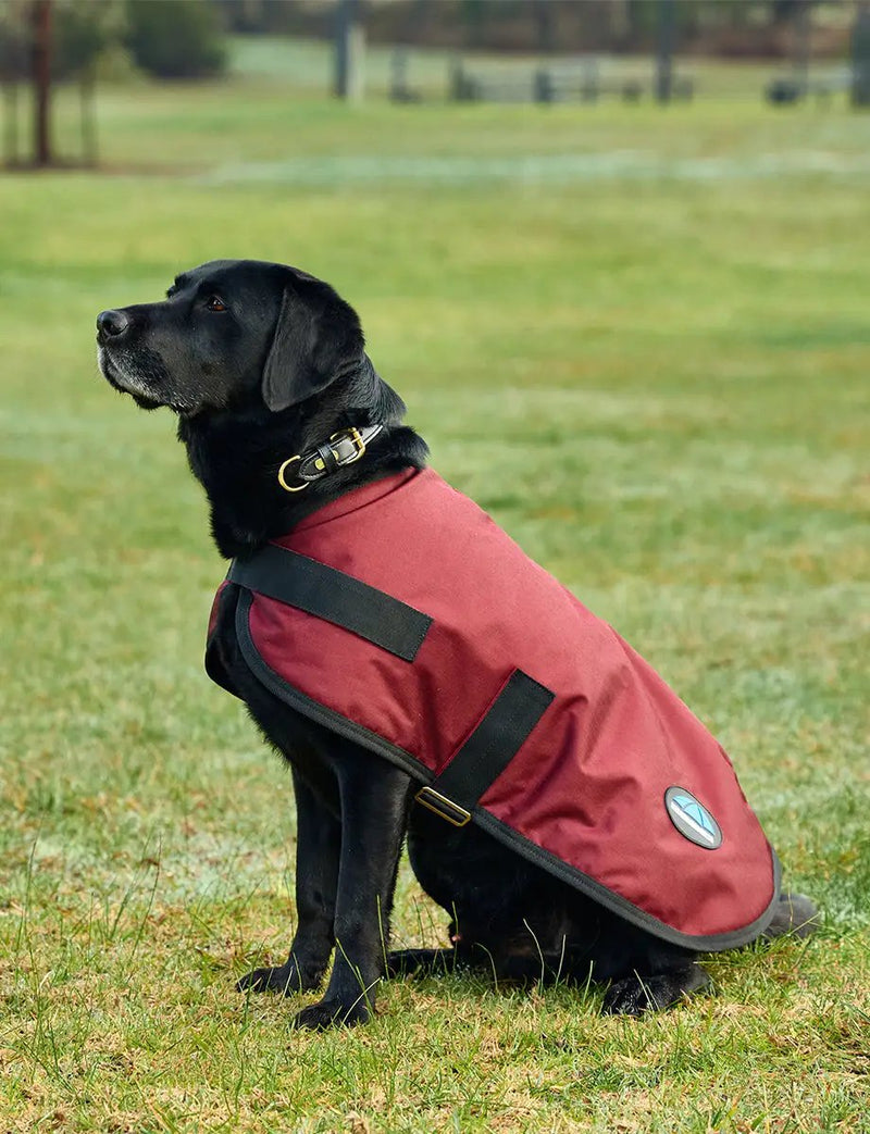 WeatherBeeta Outdoor coats WeatherBeeta ComFiTec Classic Waterproof Dog Coat WeatherBeeta ComFiTec Classic Waterproof Dog Coat