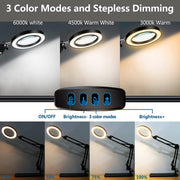 salelink.co.nz Unbranded Magnifying Lamp Desk Light Magnifying Lamp Desk Light | Action Outdoors NZ