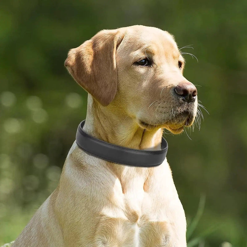 Adjustable Strong Heavy Duty PU Leather Dog Collar for Large Dogs – view 3