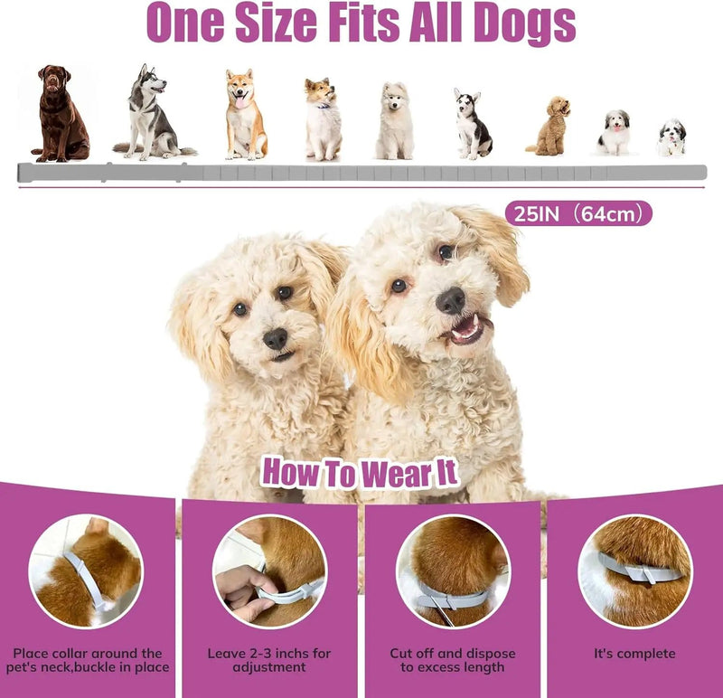 salelink.co.nz Unbranded 4PCS Dog Calming Collars 4PCS Dog Calming Collars | Action Outdoors NZ