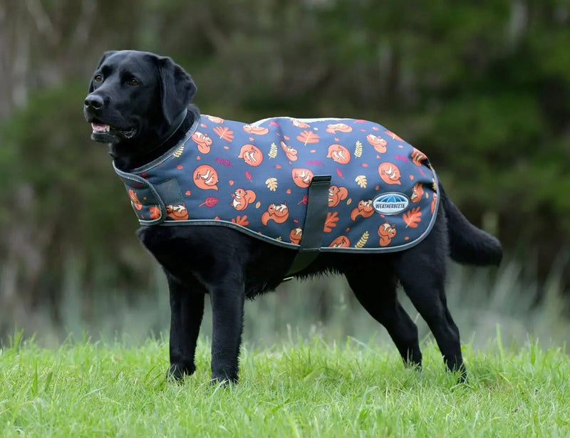 WeatherBeeta Clearance WeatherBeeta ComFiTec Premier Free Parka Dog Coat Medium WeatherBeeta ComFiTec Premier Free Parka Dog Coat Medium