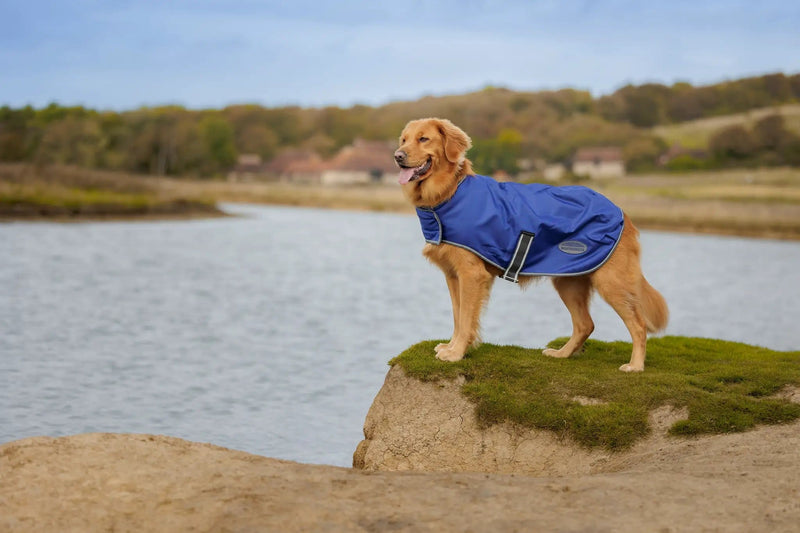 WeatherBeeta Outdoor coats WeatherBeeta ComFiTec Windbreaker Free Dog Coat WeatherBeeta ComFiTec Windbreaker Free Dog Coat