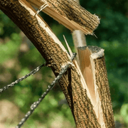 salelink.co.nz Unbranded Pocket Chainsaw Pocket Chainsaw | Action Outdoors NZ