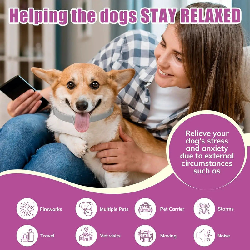 salelink.co.nz Unbranded 4PCS Dog Calming Collars 4PCS Dog Calming Collars | Action Outdoors NZ
