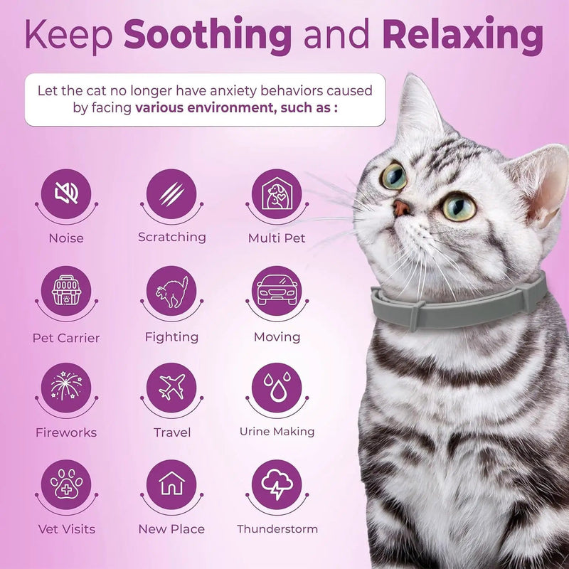 salelink.co.nz Unbranded 4PCS Calming Pheromone Collars for Cats 4PCS Calming Pheromone Collars for Cats | Action Outdoors NZ