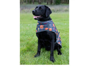 WeatherBeeta Clearance WeatherBeeta ComFiTec Premier Free Parka Dog Coat Medium WeatherBeeta ComFiTec Premier Free Parka Dog Coat Medium