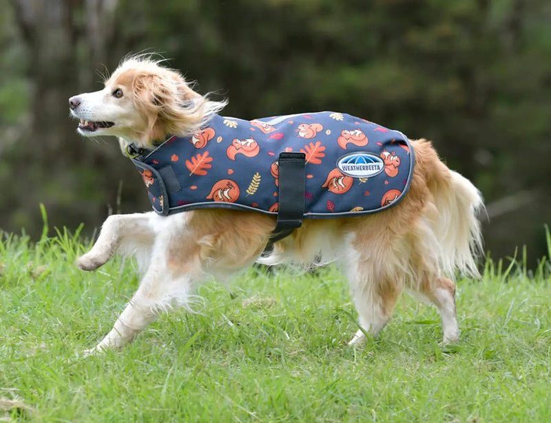 WeatherBeeta Clearance WeatherBeeta ComFiTec Premier Free Parka Dog Coat Medium WeatherBeeta ComFiTec Premier Free Parka Dog Coat Medium