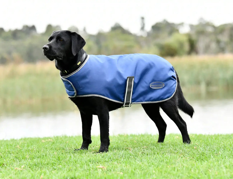 WeatherBeeta Outdoor coats WeatherBeeta ComFiTec Windbreaker Free Dog Coat WeatherBeeta ComFiTec Windbreaker Free Dog Coat