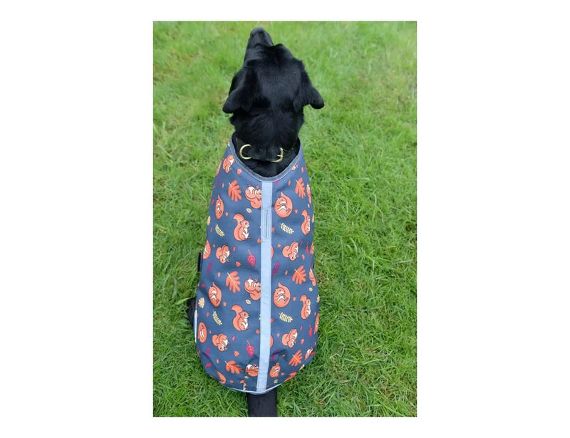 WeatherBeeta Clearance WeatherBeeta ComFiTec Premier Free Parka Dog Coat Medium WeatherBeeta ComFiTec Premier Free Parka Dog Coat Medium