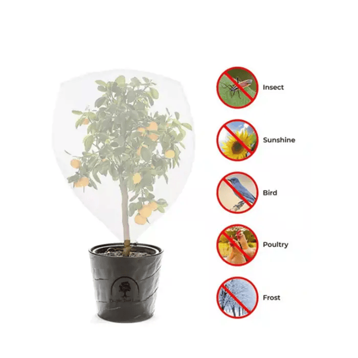salelink.co.nz Unbranded 2PCS Plant Cover Bag Fruit Fly Net Insect Mesh 2 Pack Plant Cover Bags Fruit Fly Net Insect Mesh