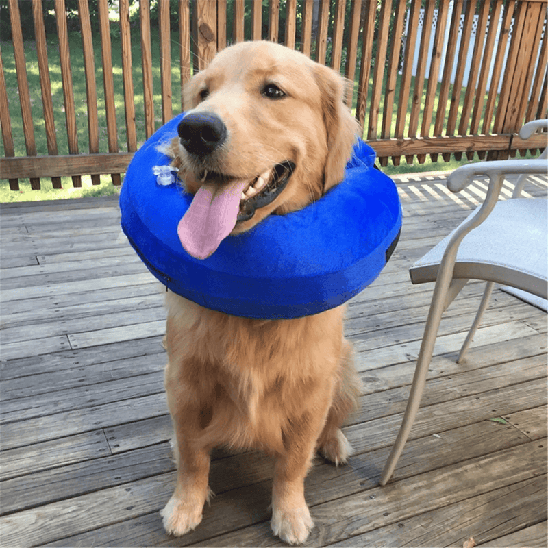 salelink.co.nz Unbranded Dog Inflatable Collar XL XL Inflatable Cone Collar For Dog Post Surgery Wound