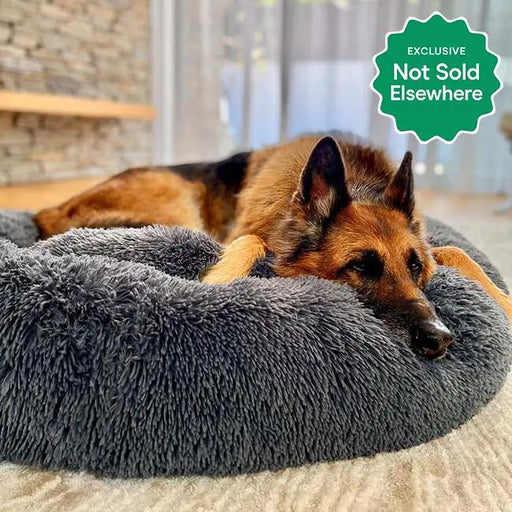 The Brooklyn Dog Beds Brooklyn® Deep Sleep Pet Bed Brooklyn Deep Sleep Calming Donut Dog Bed
