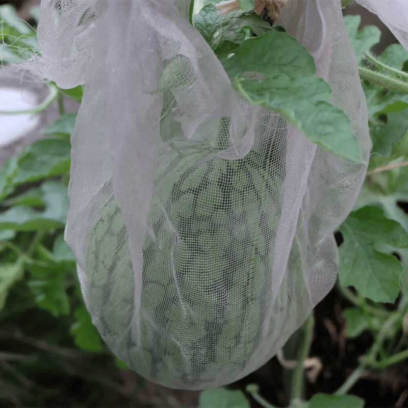 3 X 10M Garden Net Protection 1mm Mesh For Plants Vegetables Insects Birds – view 8