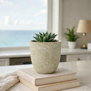 Frankly Cotton Textured Marble Ceramic Indoor Plant Pot Sage 12cm – view 1