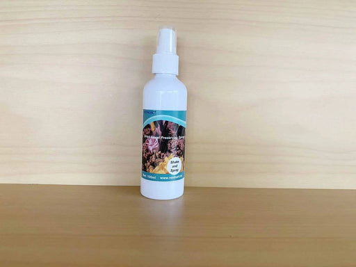 Dried Floral Flower Preserving Spray 100ml