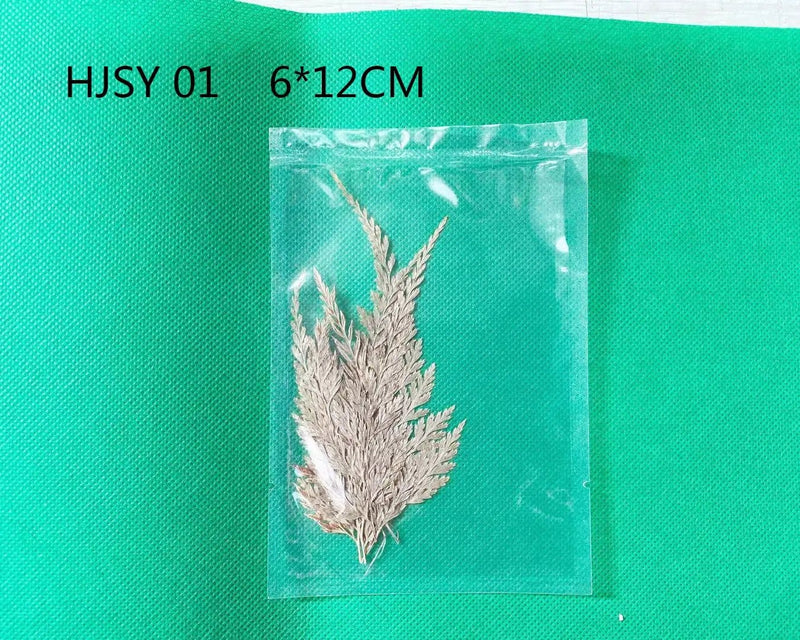 Resin Art NZ Real Dried Flower Real Dried Leaves - Sealed in Pocket Pack Real Dried Leaves - Sealed in Pocket Pack | NZ