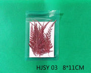 Resin Art NZ Real Dried Flower Real Dried Leaves - Sealed in Pocket Pack Real Dried Leaves - Sealed in Pocket Pack | NZ