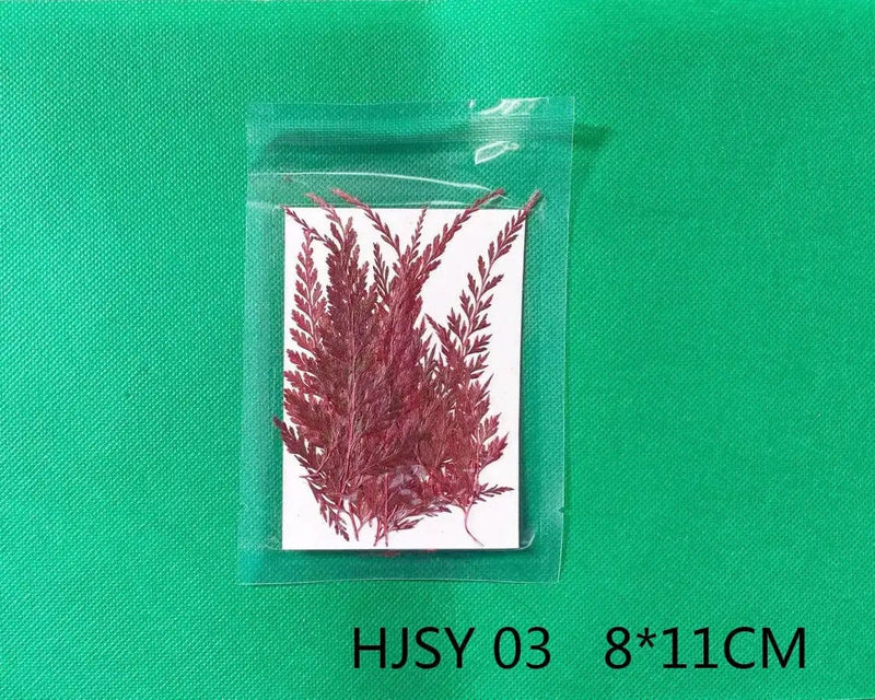 Resin Art NZ Real Dried Flower Real Dried Leaves - Sealed in Pocket Pack Real Dried Leaves - Sealed in Pocket Pack | NZ