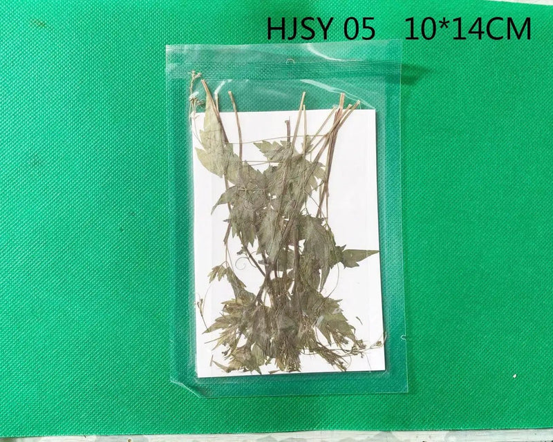 Resin Art NZ Real Dried Flower Real Dried Leaves - Sealed in Pocket Pack Real Dried Leaves - Sealed in Pocket Pack | NZ