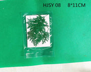 Resin Art NZ Real Dried Flower Real Dried Leaves - Sealed in Pocket Pack Real Dried Leaves - Sealed in Pocket Pack | NZ