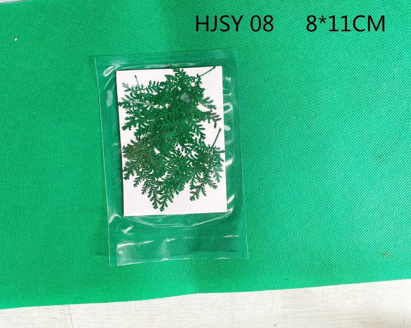 Resin Art NZ Real Dried Flower Real Dried Leaves - Sealed in Pocket Pack Real Dried Leaves - Sealed in Pocket Pack | NZ