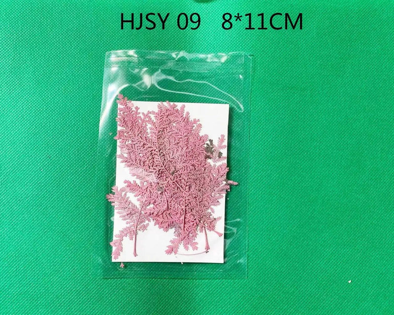 Resin Art NZ Real Dried Flower Real Dried Leaves - Sealed in Pocket Pack Real Dried Leaves - Sealed in Pocket Pack | NZ