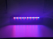 RaceCrafts RCNZ RC-01 LED Shift Lights, 10LEDS, Programmable RCNZ RC-01 LED Shift Lights, 10LEDS, Programmable
