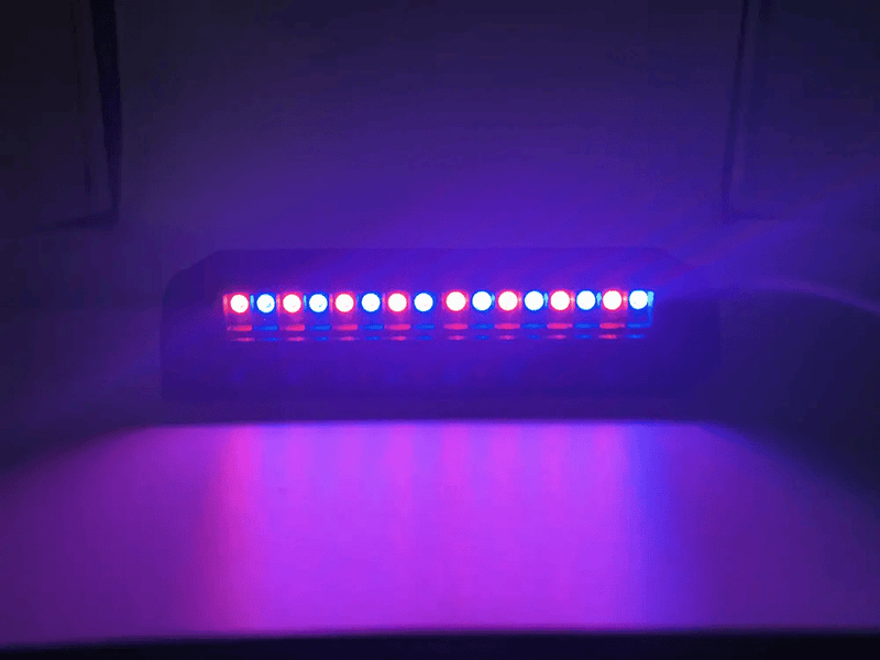 RaceCrafts RCNZ RC-01 LED Shift Lights, 10LEDS, Programmable RCNZ RC-01 LED Shift Lights, 10LEDS, Programmable