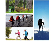 Loveliving Outdoor & Camping Portable 5-Section Hiking Sticks-Blue/130CM Portable 5-Section Hiking Sticks-Blue/130CM