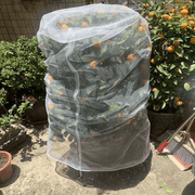 salelink.co.nz Unbranded 2PCS Plant Cover Bag Fruit Fly Net Insect Mesh 2 Pack Plant Cover Bags Fruit Fly Net Insect Mesh