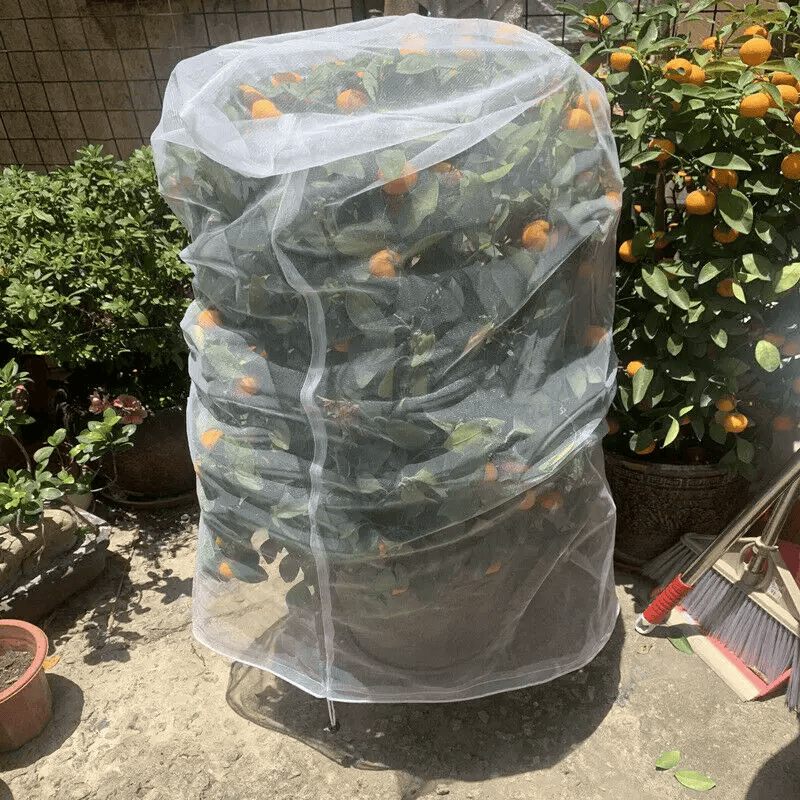 salelink.co.nz Unbranded Plant Crop Protection Cover Bags Plant Crop Protection Cover Bags | Action Outdoors NZ