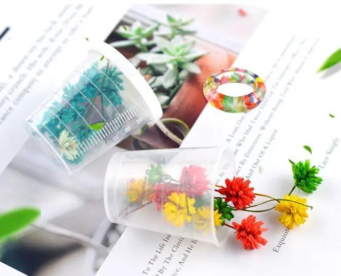 Real Dried Flowers with Branches- Lantern Ball