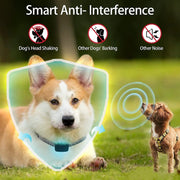 salelink.co.nz Unbranded Anti Bark Dog Collar Anti Bark Dog Collar | Action Outdoors NZ