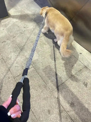 Dog Leash Heavy Duty 80-105cm Shock Absorbing Bungee with Handle BK – view 3
